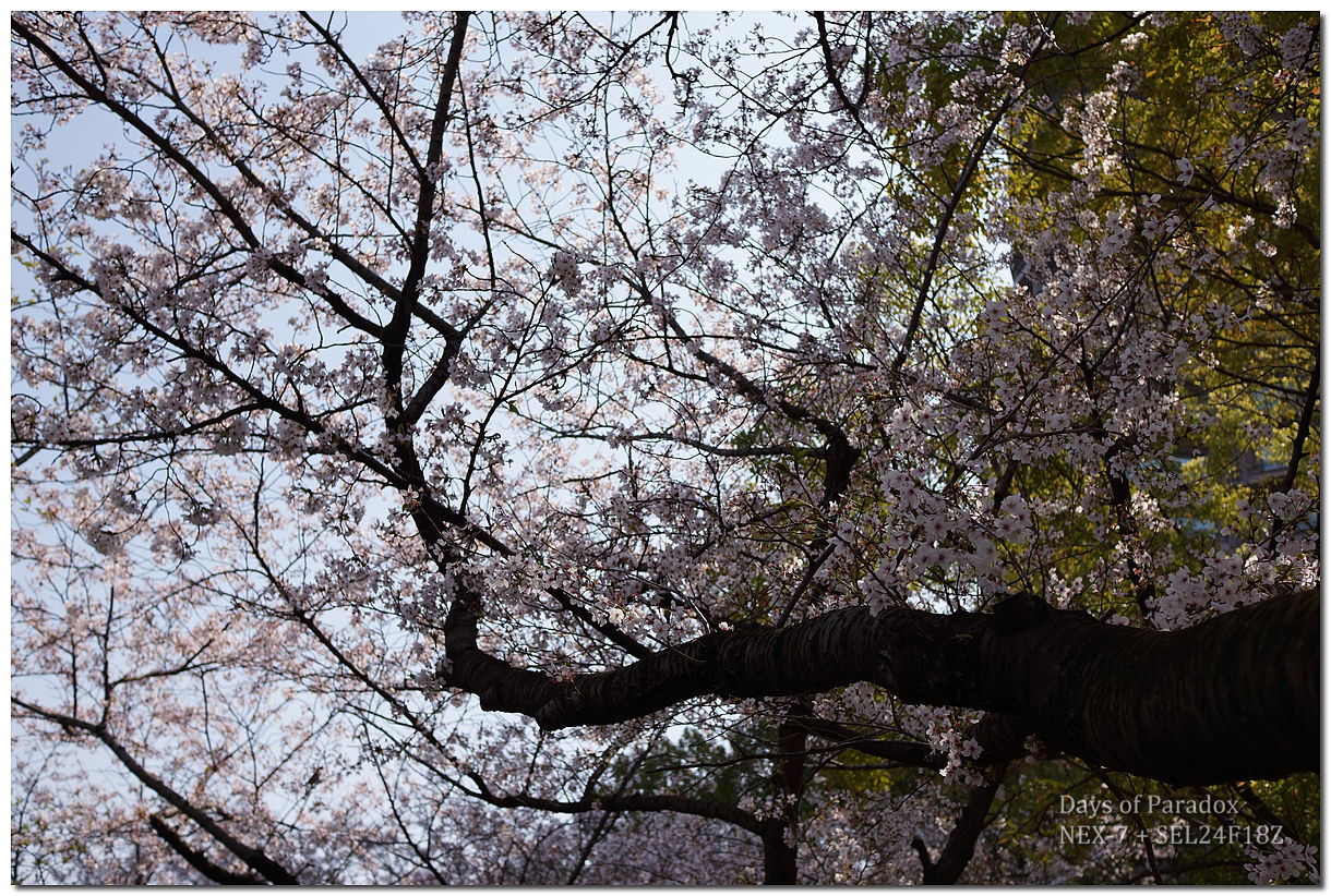 20140408-59.jpg