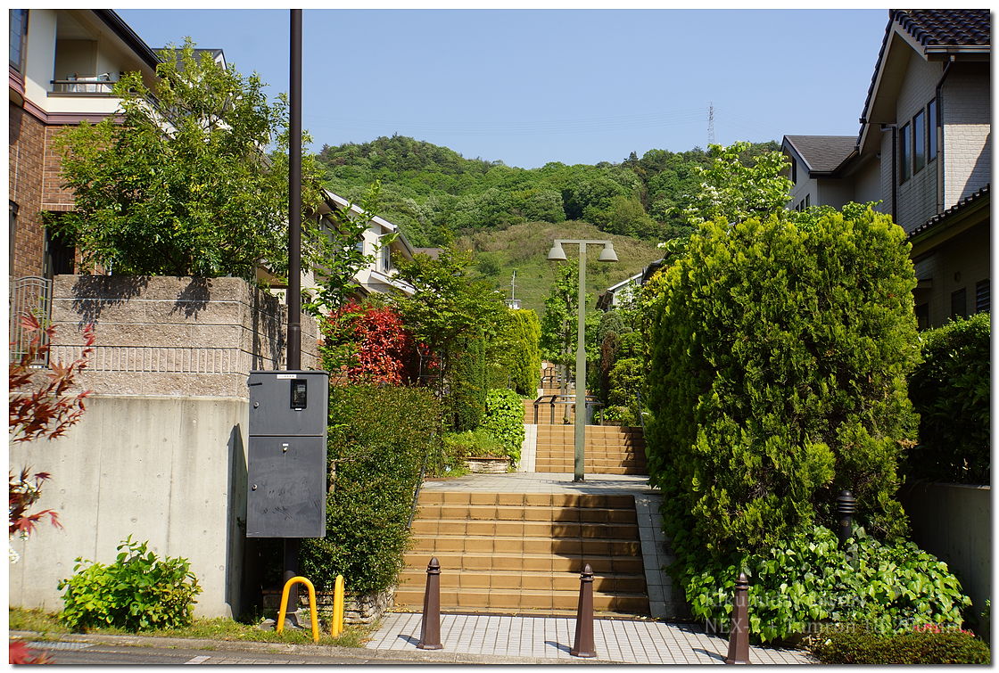 菊美台2012年5月