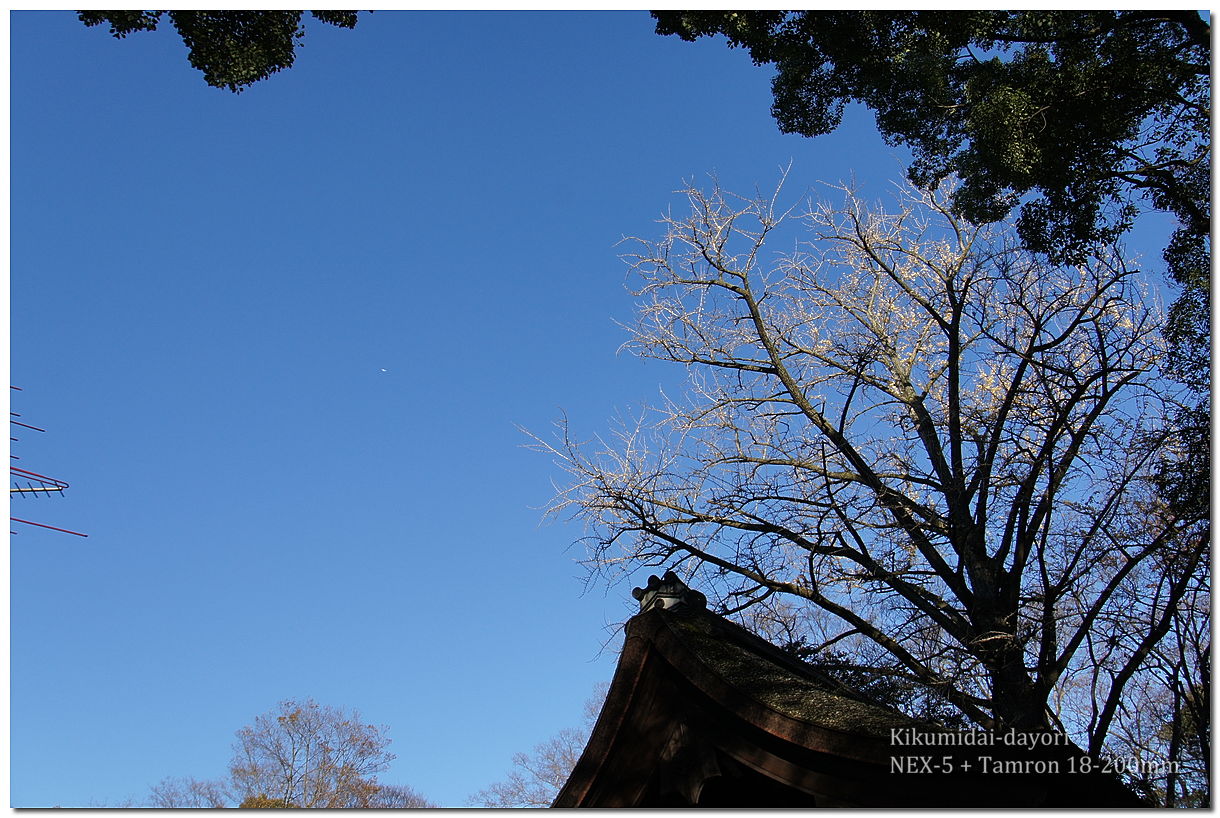 下鴨神社