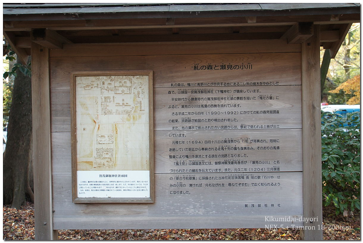 下鴨神社