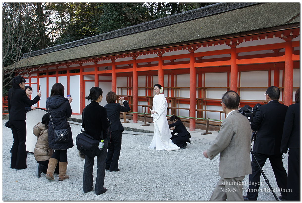 下鴨神社