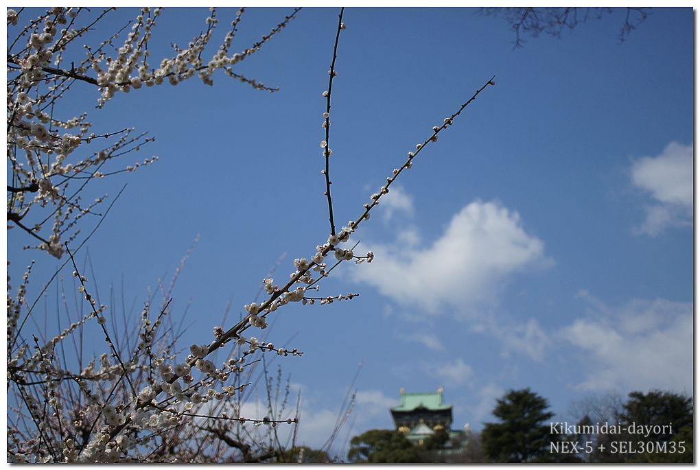 大阪城公園