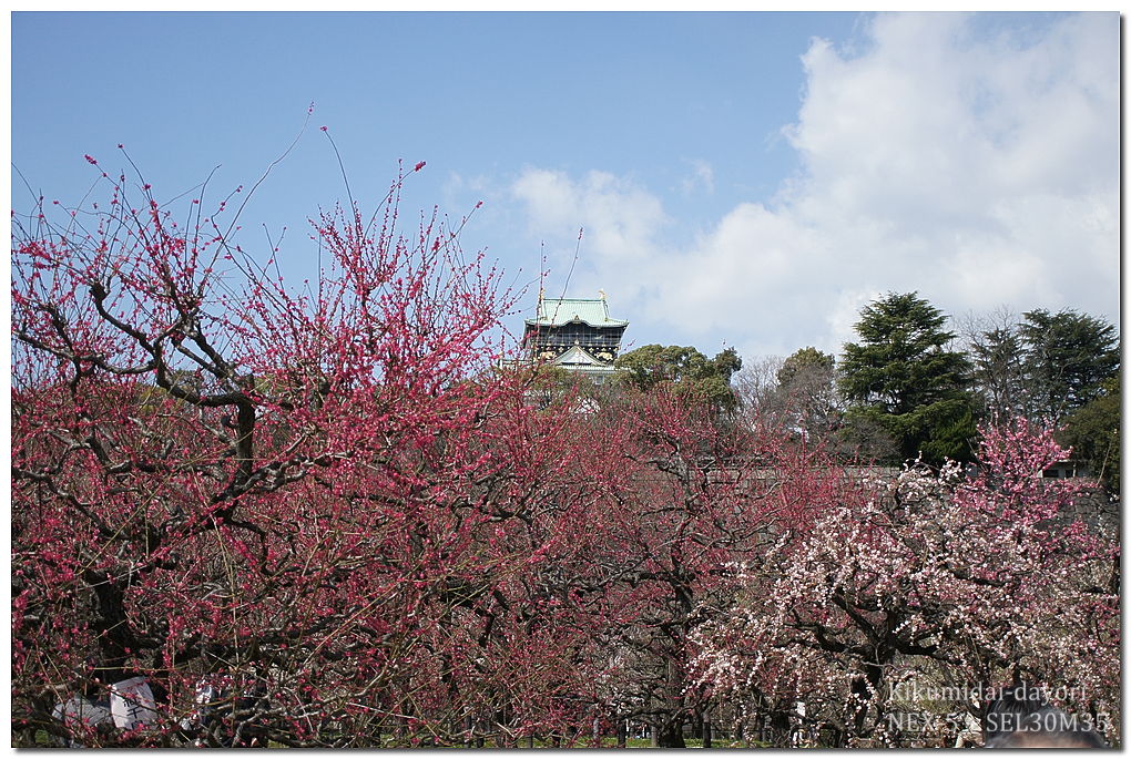 大阪城公園