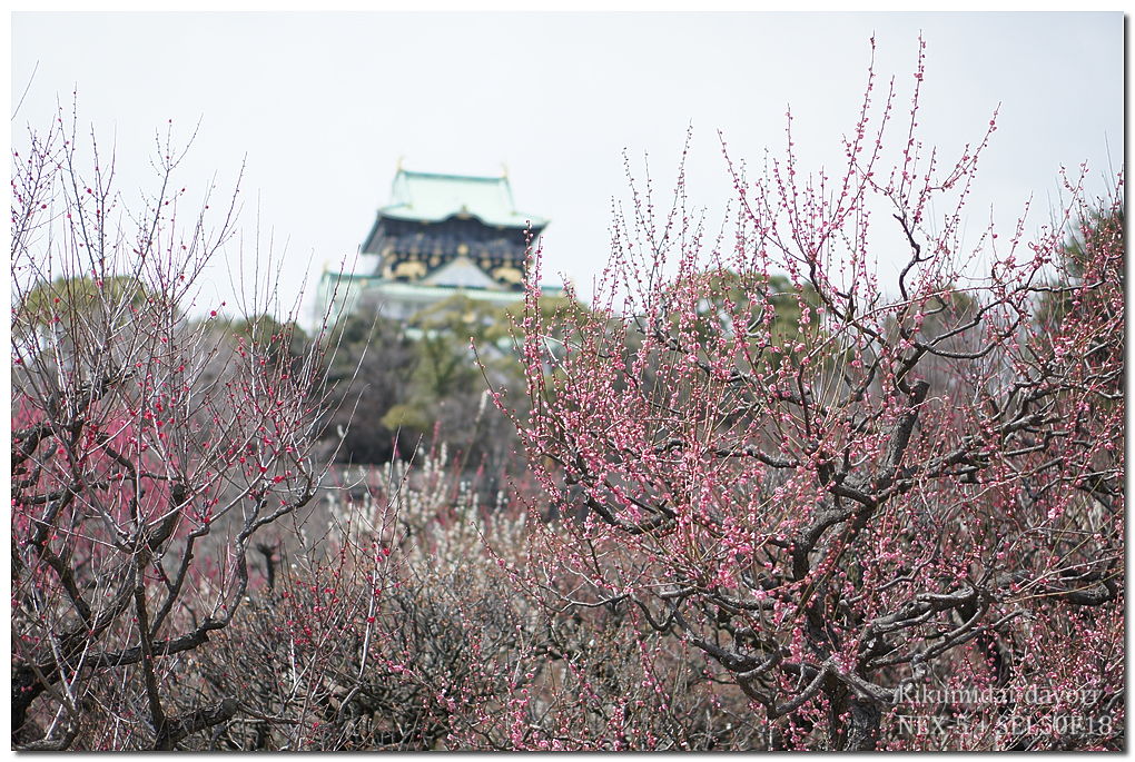 大阪城公園