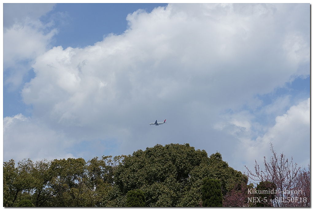 大阪城公園