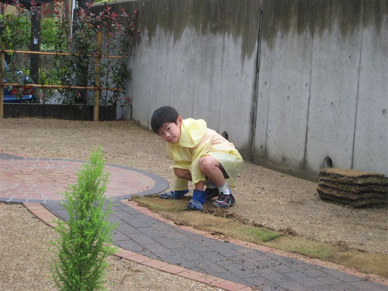 芝生敷き込み中