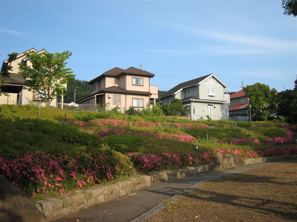 中央公園の春