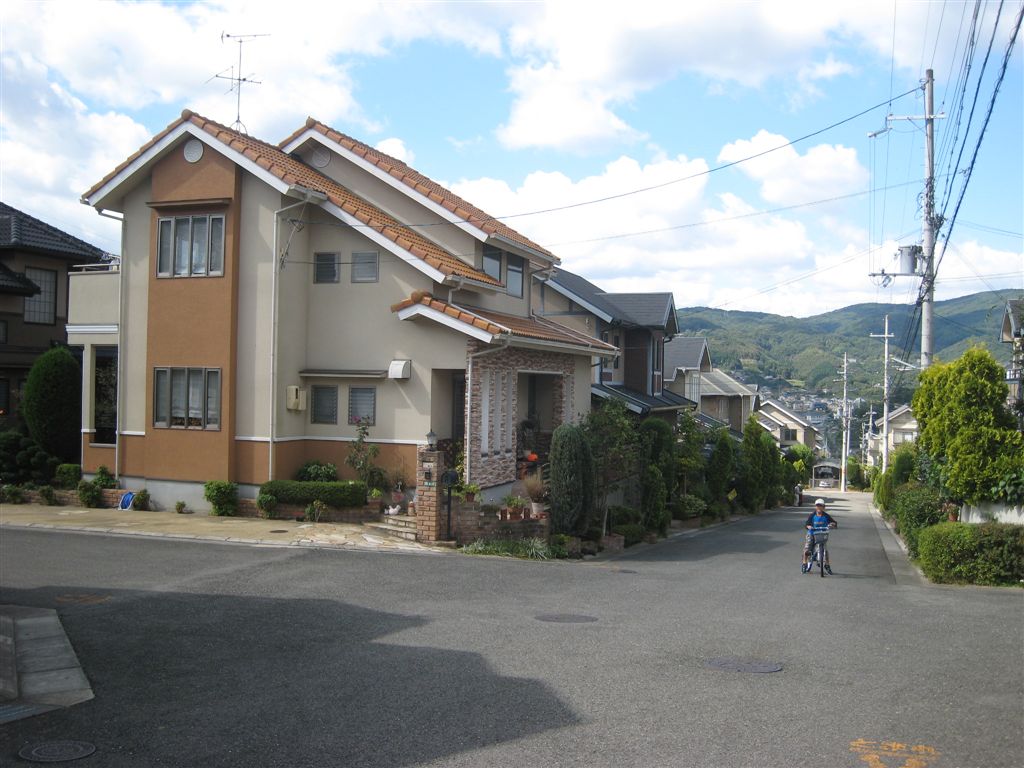 秋晴れの菊美台