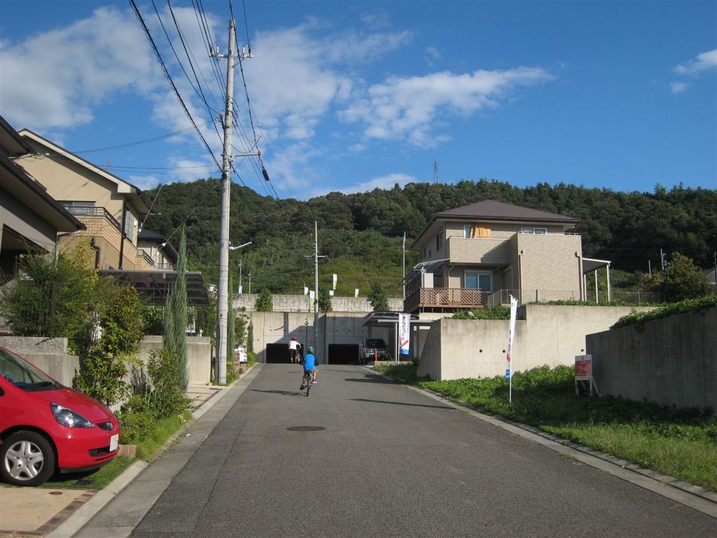 秋晴れの菊美台